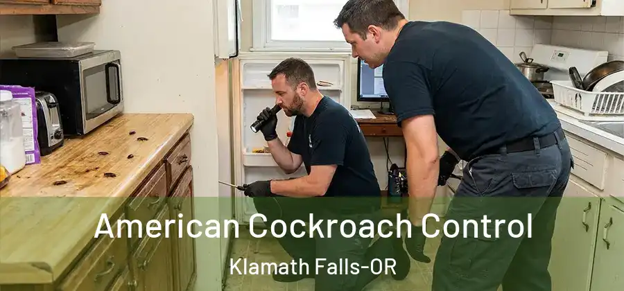 American Cockroach Control Klamath Falls-OR
