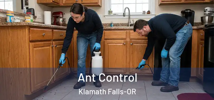  Ant Control Klamath Falls-OR