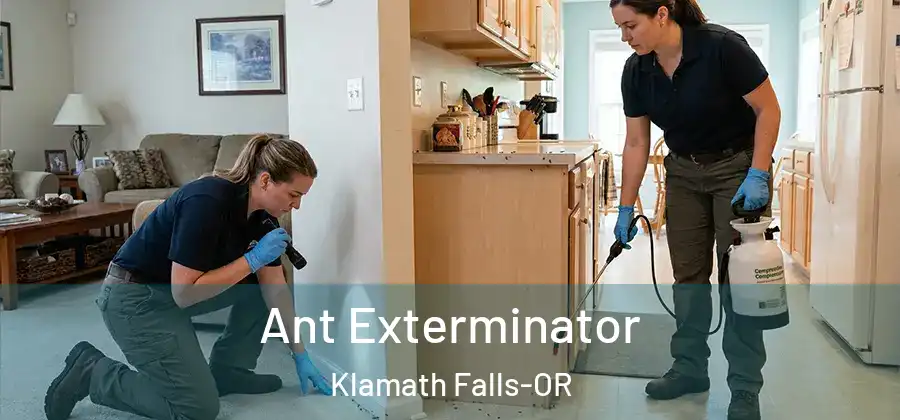 Ant Exterminator Klamath Falls-OR
