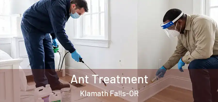 Ant Treatment Klamath Falls-OR