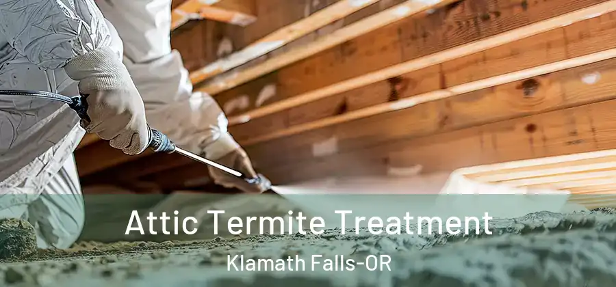  Attic Termite Treatment Klamath Falls-OR