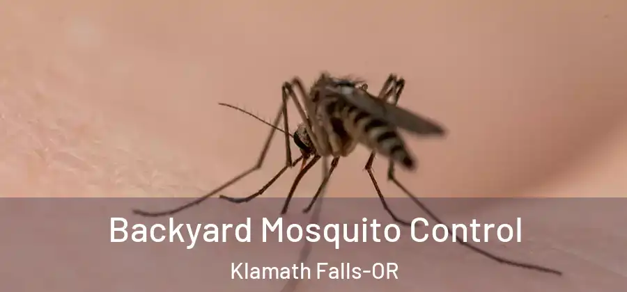  Backyard Mosquito Control Klamath Falls-OR