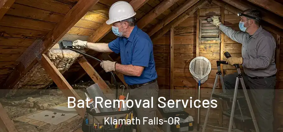 Bat Removal Services Klamath Falls-OR