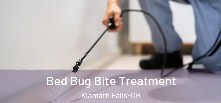 Bed Bug Bite Treatment Klamath Falls-OR