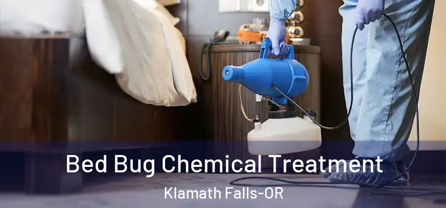  Bed Bug Chemical Treatment Klamath Falls-OR