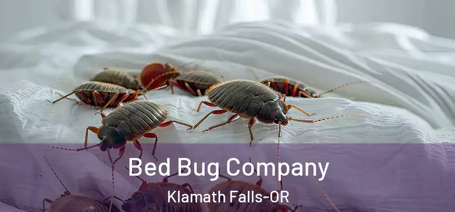 Bed Bug Company Klamath Falls-OR