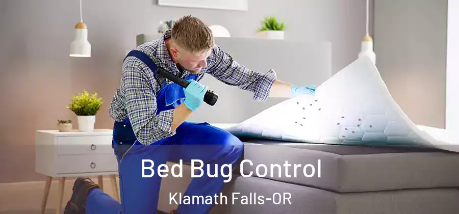 Bed Bug Control Klamath Falls-OR