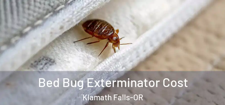  Bed Bug Exterminator Cost Klamath Falls-OR