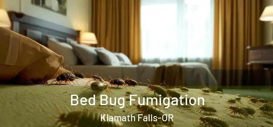 Bed Bug Fumigation Klamath Falls-OR