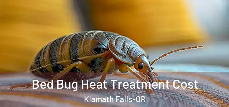  Bed Bug Heat Treatment Cost Klamath Falls-OR