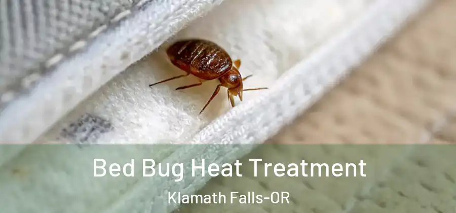 Bed Bug Heat Treatment Klamath Falls-OR