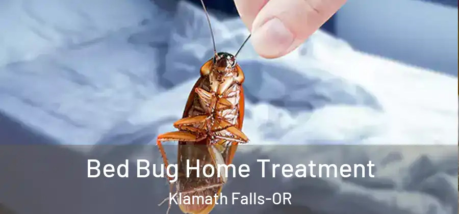 Bed Bug Home Treatment Klamath Falls-OR