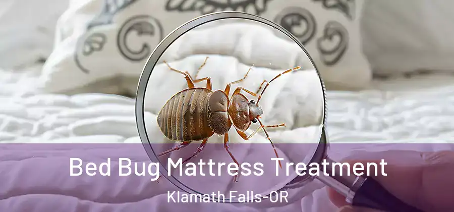  Bed Bug Mattress Treatment Klamath Falls-OR