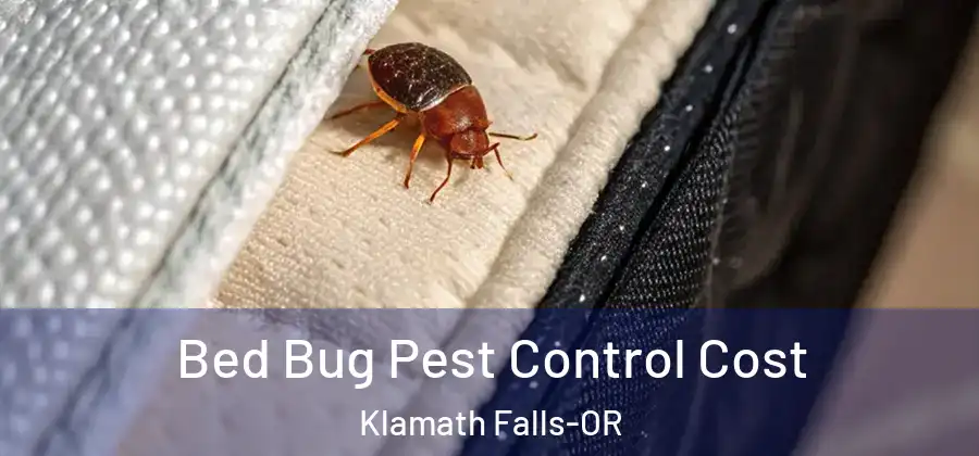 Bed Bug Pest Control Cost Klamath Falls-OR