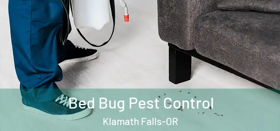 Bed Bug Pest Control Klamath Falls-OR