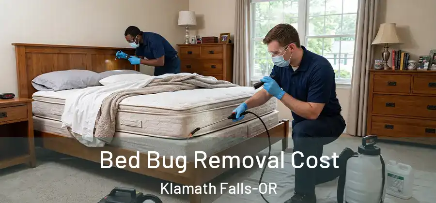 Bed Bug Removal Cost Klamath Falls-OR