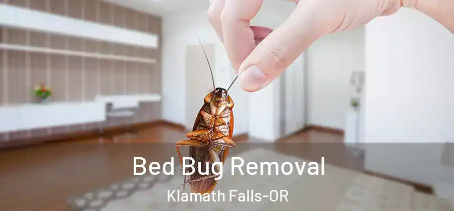 Bed Bug Removal Klamath Falls-OR