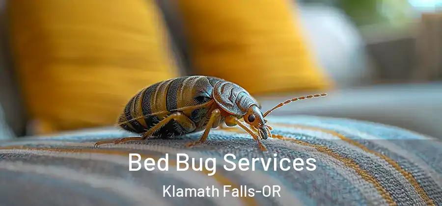Bed Bug Services Klamath Falls-OR