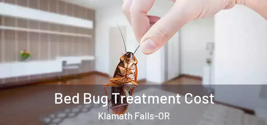Bed Bug Treatment Cost Klamath Falls-OR