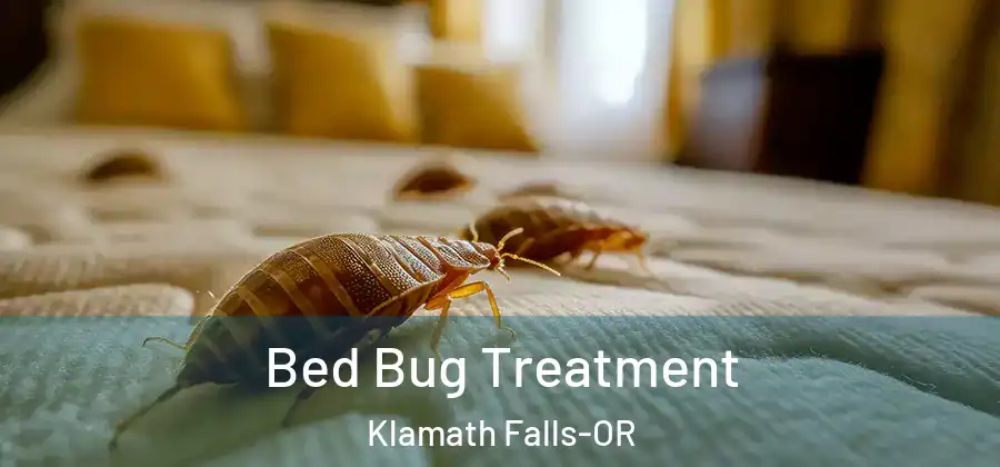  Bed Bug Treatment Klamath Falls-OR