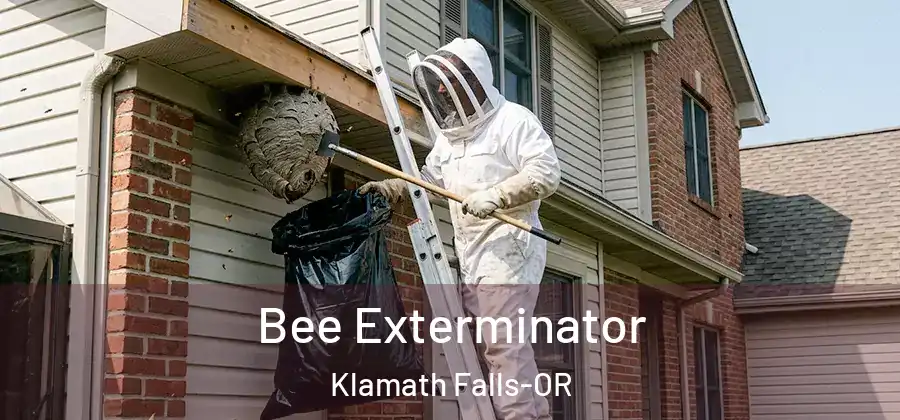 Bee Exterminator Klamath Falls-OR