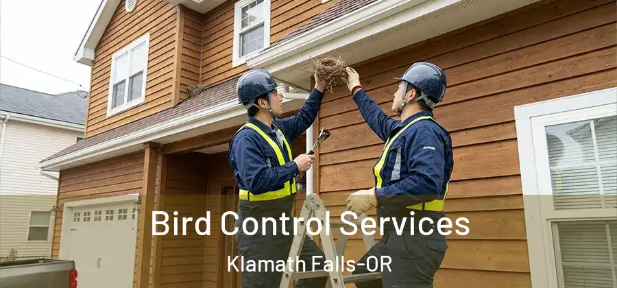 Bird Control Services Klamath Falls-OR