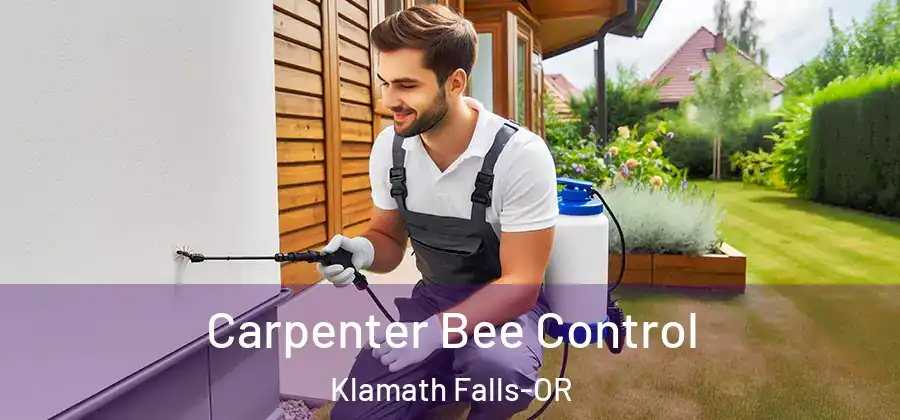 Carpenter Bee Control Klamath Falls-OR