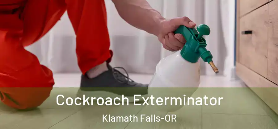 Cockroach Exterminator Klamath Falls-OR