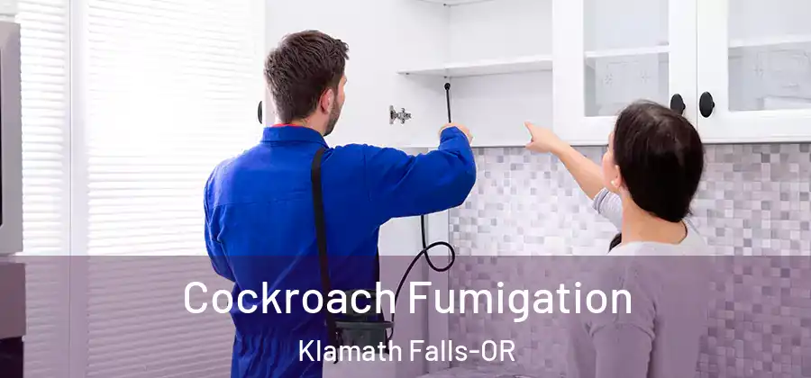 Cockroach Fumigation Klamath Falls-OR