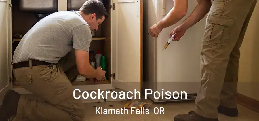 Cockroach Poison Klamath Falls-OR
