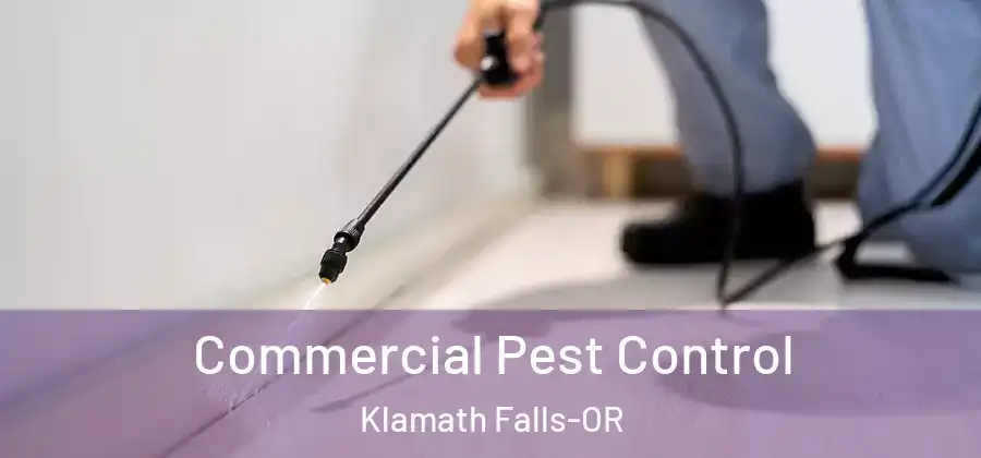 Commercial Pest Control Klamath Falls-OR
