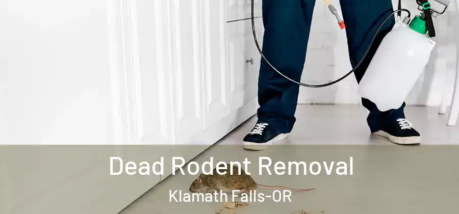 Dead Rodent Removal Klamath Falls-OR
