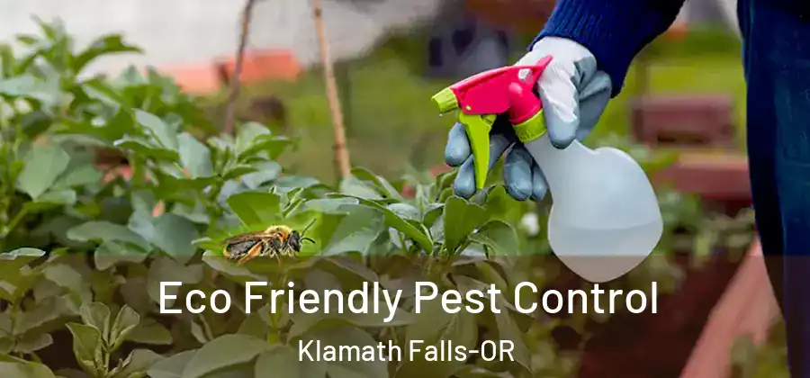 Eco Friendly Pest Control Klamath Falls-OR