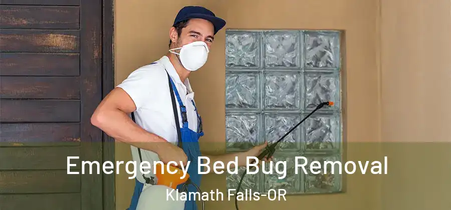  Emergency Bed Bug Removal Klamath Falls-OR