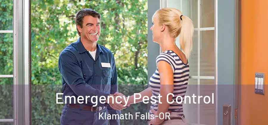 Emergency Pest Control Klamath Falls-OR