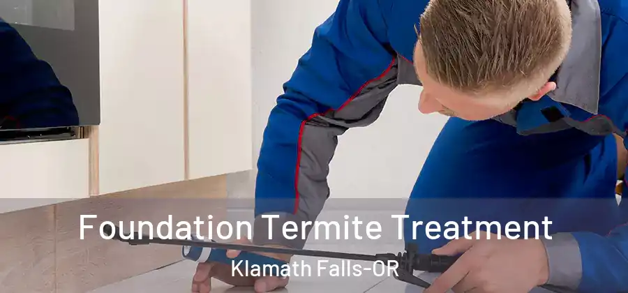 Foundation Termite Treatment Klamath Falls-OR