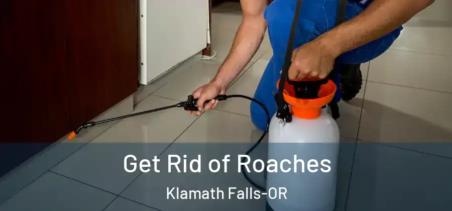 Get Rid of Roaches Klamath Falls-OR