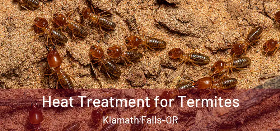  Heat Treatment for Termites Klamath Falls-OR