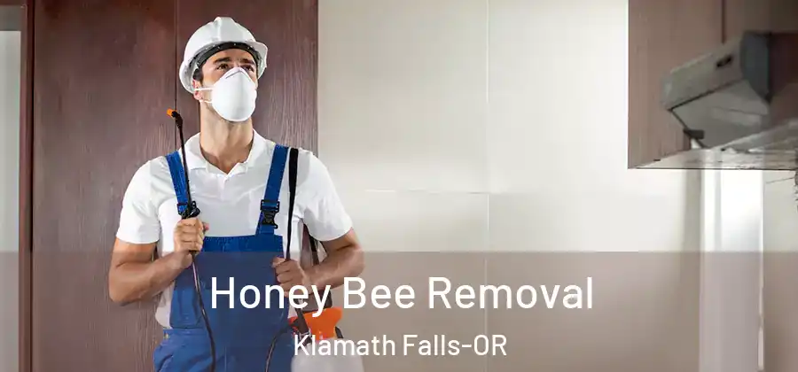 Honey Bee Removal Klamath Falls-OR