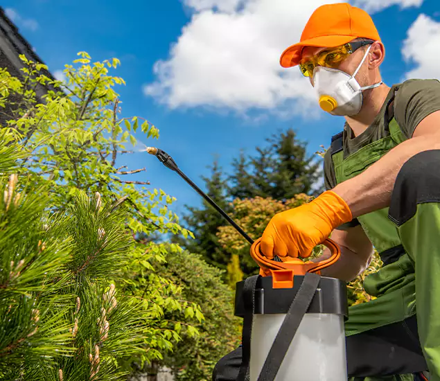 Your Mosquito Repellent Barrier Service in Klamath Falls, OR