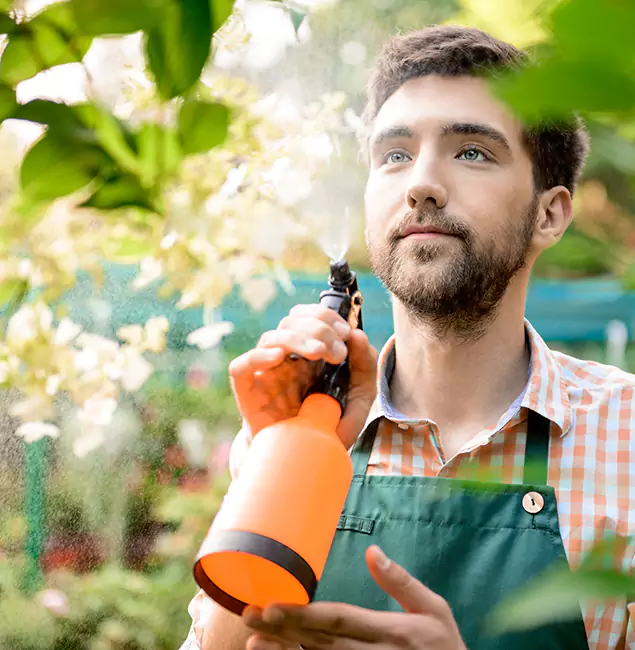 Why Klamath Falls Pest Control Pro Is the Best Mosquito Control Company in Klamath Falls, OR?