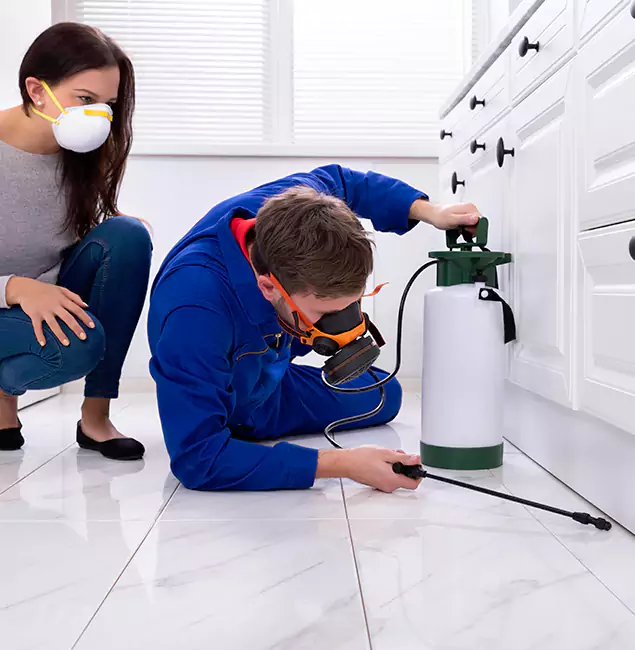 Why Choose Wood Termite Treatment by Klamath Falls Pest Control Pro in Klamath Falls, OR?