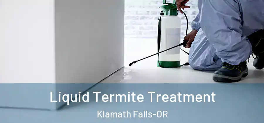 Liquid Termite Treatment Klamath Falls-OR
