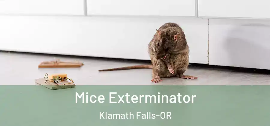 Mice Exterminator Klamath Falls-OR