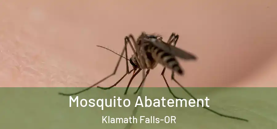 Mosquito Abatement Klamath Falls-OR