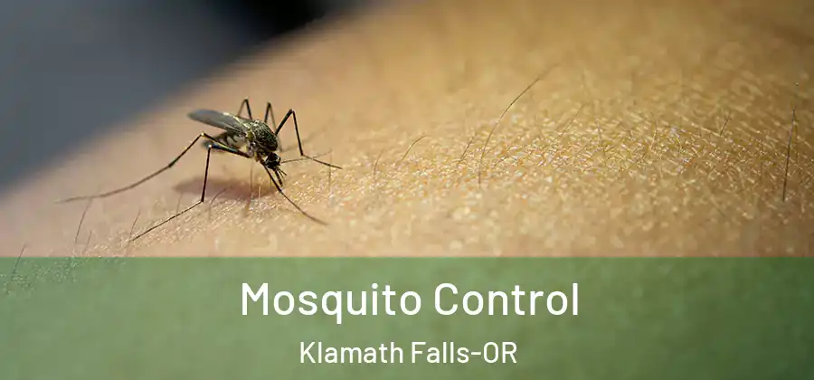 Mosquito Control Klamath Falls-OR