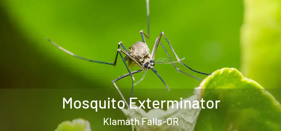 Mosquito Exterminator Klamath Falls-OR