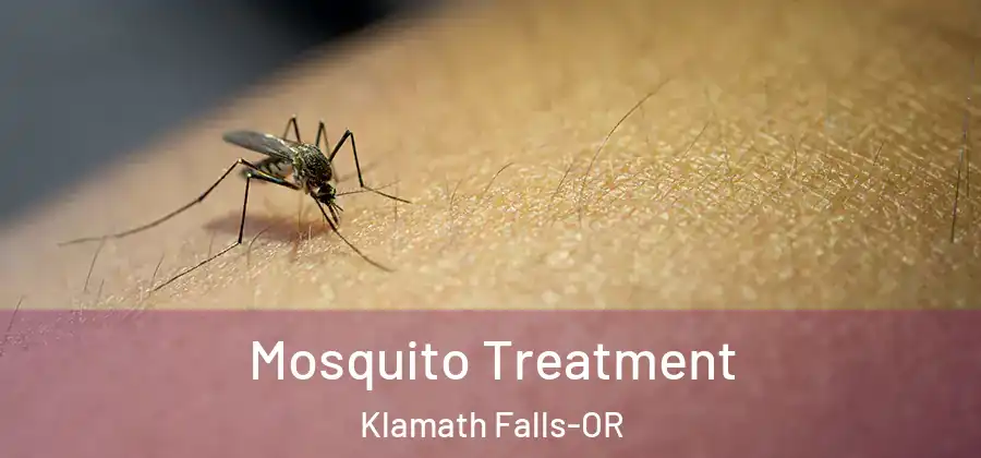 Mosquito Treatment Klamath Falls-OR