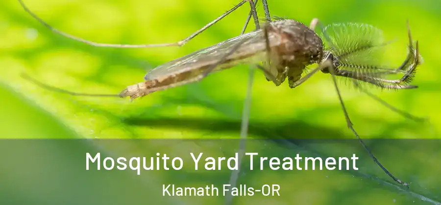  Mosquito Yard Treatment Klamath Falls-OR