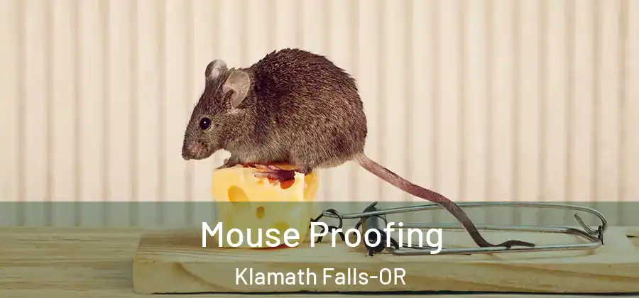  Mouse Proofing Klamath Falls-OR